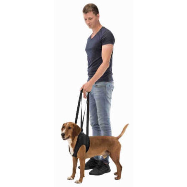 Trixie βοήθημα περιπάτου l 25-35kg μαύρο Trixie βοήθημα περιπάτου l 25-35kg μαύρο