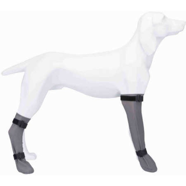 Trixie κάλτσα προστασίας σιλικόνης l 10cm/40cm για Golden Retriever Trixie κάλτσα προστασίας σιλικόνης l 10cm/40cm για Golden Retriever