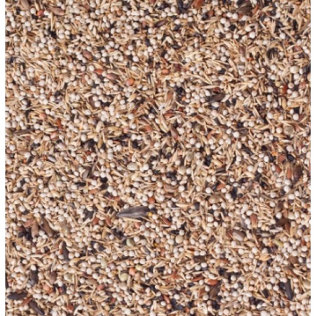 Deli Nature Birdelicious light Πλήρης τροφή για καρδερίνες, σπίνους και πυρρούλες Deli Nature Birdelicious light Πλήρης τροφή για καρδερίνες, σπίνους και πυρρούλες
