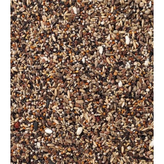 Deli Nature Pyrrhula bullfinches για πυρρούλες κοκκινολαίμιδες με ποικιλία επιλεγμένων συστατικών Deli Nature Pyrrhula bullfinches για πυρρούλες κοκκινολαίμιδες με ποικιλία επιλεγμένων συστατικών