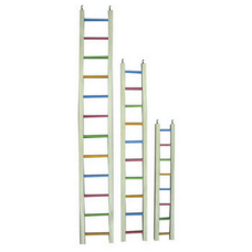 Happypet wooden ladder multi coloured χρωματιστή σκάλα παιχνίδι για ωδικά