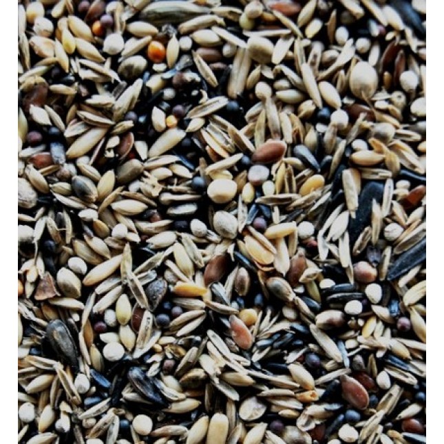Royal Vogelfutter μείγμα με ποικιλία 29 πρωτεϊνούχων σπόρων για Καρδερίνες, Siskin, Λούγαρα κ.ά