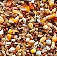 Royal Vogelfutter Μείγμα συντήρησης με 11 επιλεγμένους σπόρους  20kg