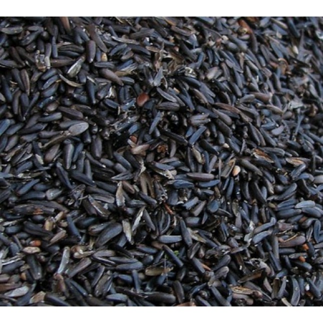 Royal Vogelfutter Νίζερ 10kg Royal Vogelfutter Νίζερ 10kg