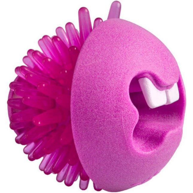 Rogz dogz παιχνίδι σκύλου Fred Treat μπάλα ροζ medium 6.4cm Rogz dogz παιχνίδι σκύλου Fred Treat μπάλα ροζ medium 6.4cm