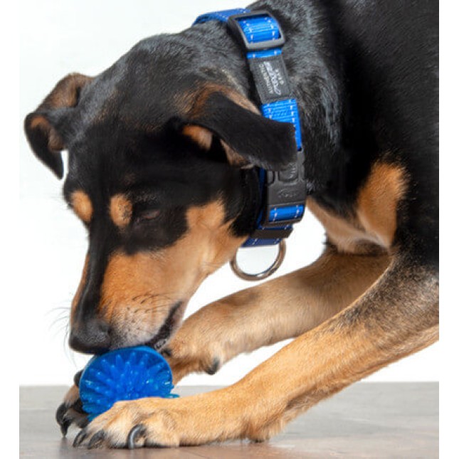Rogz dogz παιχνίδι σκύλου Fred Treat μπάλα ροζ medium 6.4cm Rogz dogz παιχνίδι σκύλου Fred Treat μπάλα ροζ medium 6.4cm