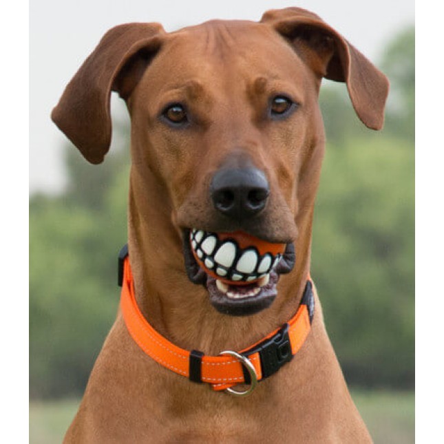 Rogz dogz παιχνίδι σκύλου Treat Grinz ball large μπλε 7,8cm Rogz dogz παιχνίδι σκύλου Treat Grinz ball large μπλε 7,8cm