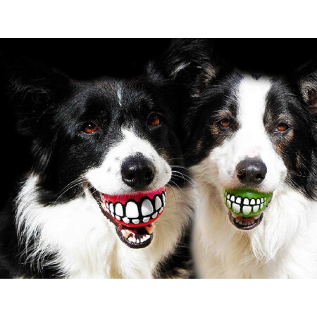 Rogz dogz παιχνίδι σκύλου Treat Grinz ball large ροζ 7,8cm Rogz dogz παιχνίδι σκύλου Treat Grinz ball large ροζ 7,8cm