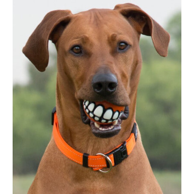 Rogz παιχνίδι σκύλου παιχνιδιάρικη χαμογελαστή μπάλα που κανείς δε μπορεί να της αντισταθεί Grinz