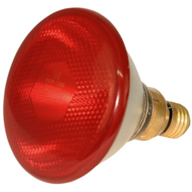 Κerbl Λάμπα υπέρυθρης ακτινοβολίας κόκκινη 175 W Κerbl Λάμπα υπέρυθρης ακτινοβολίας κόκκινη 175 W