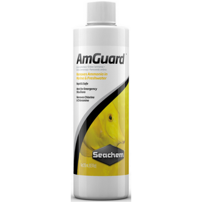 Seachem Liquid AmGuard,συμπλήρωμα κατά της αμμωνίας Seachem Liquid AmGuard,συμπλήρωμα κατά της αμμωνίας