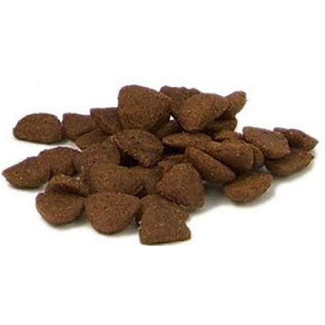 Fish4Dogs νόστιμα μπισκότα με βάση τα ψάρια για σκύλους όλων των φυλών Fish4Dogs νόστιμα μπισκότα με βάση τα ψάρια για σκύλους όλων των φυλών