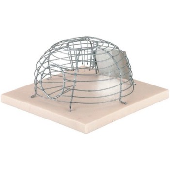 Kerbl ποντικοπαγίδα 15 x 15 x 7,5cm