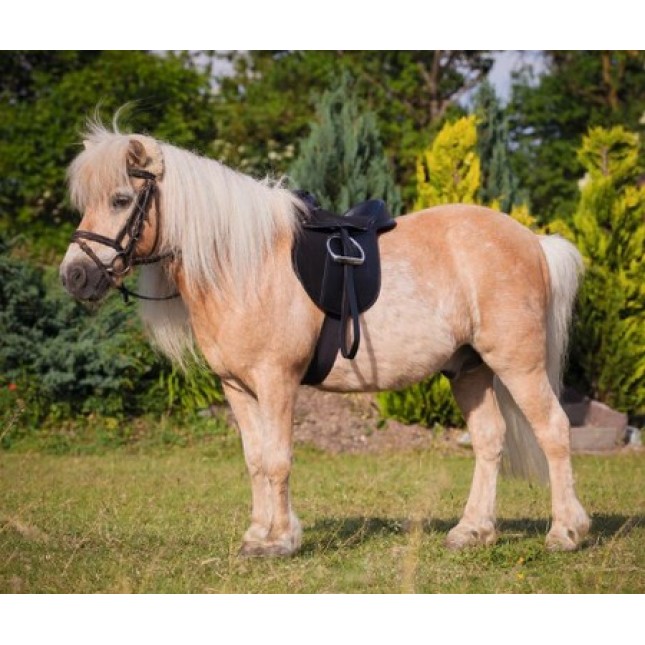 Kerbl Σετ σέλας Pony, Economy μαύρη  15'', 21mmx110 cm