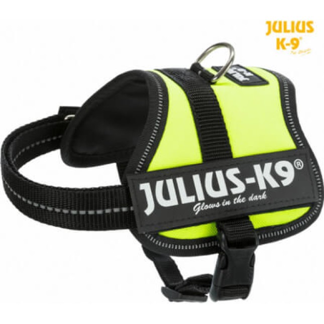 Julius-k9 baby2 2/xs-s 33-45cm/18mm νέο πράσινο