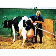 Kerbl βοηθητικό τοκετού ίση πρόσφυση 180 cm Kerbl βοηθητικό τοκετού ίση πρόσφυση 180 cm