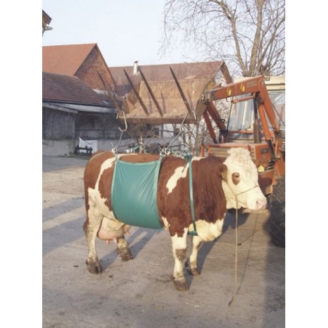 Kerbl Συσκευή ανύψωσης για κανονικά και βαριά βοοειδή