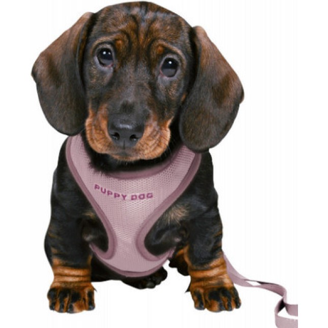 Trixie σετ κουταβιών junior (οδηγός-σαμάρι) μωβ Trixie σετ κουταβιών junior (οδηγός-σαμάρι) μωβ