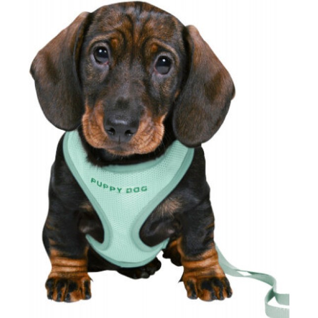 Trixie σετ κουταβιών junior (οδηγός-σαμάρι) πράσινο Trixie σετ κουταβιών junior (οδηγός-σαμάρι) πράσινο