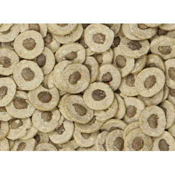 Sera Bloodworms Snack Pro,επικολλώμενα chips για υγιεινή ποικιλία 250ml Sera Bloodworms Snack Pro,επικολλώμενα chips για υγιεινή ποικιλία 250ml
