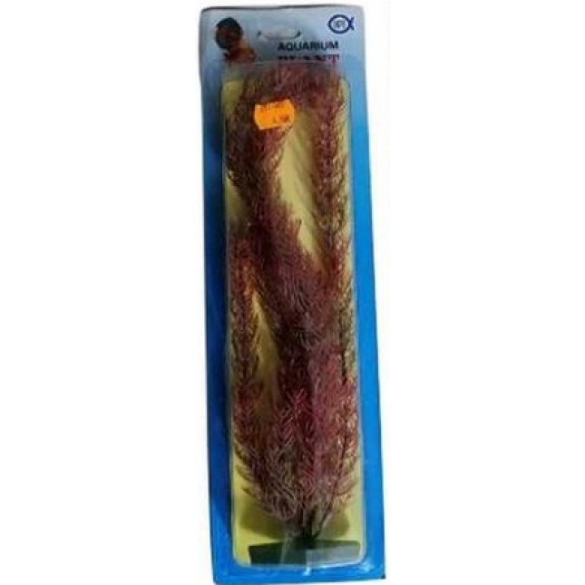 Διακοσμητικό φυτό ενυδρείου 30cm