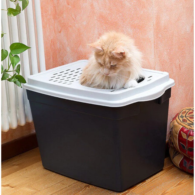 Ferplast τουαλέτα γάτας jumpy με εύχρηστη είσοδο στην κορυφή κατάλληλη για μεγάλες γάτες