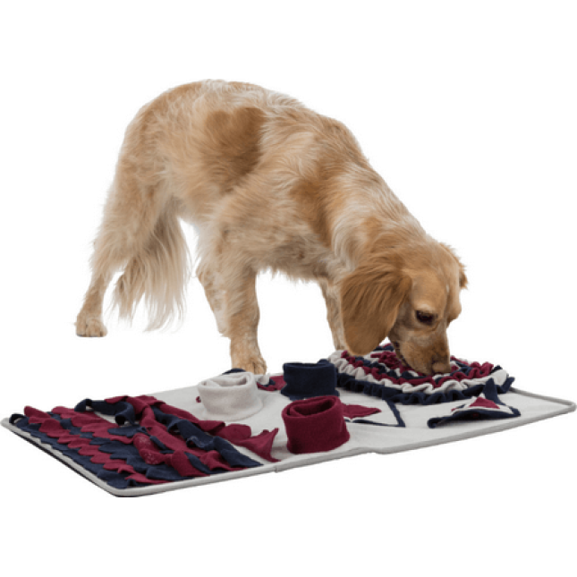 Trixie παιχνίδι sniffing carpet ιδανικό για όλες τις φυλές σκύλων για την εξάντληση της πλήξης Trixie παιχνίδι sniffing carpet ιδανικό για όλες τις φυλές σκύλων για την εξάντληση της πλήξης