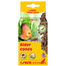 Sera alder cones κατά των μολύνσεων από μύκητες 50pcs
