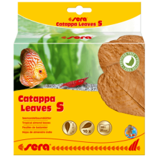 Sera Catappa Leaves,βοηθούν τη ρύθμιση του νερού S14 cm 12pcs Sera Catappa Leaves,βοηθούν τη ρύθμιση του νερού S14 cm 12pcs
