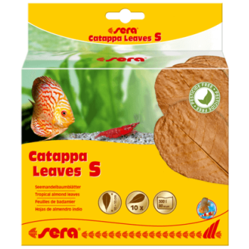 Sera Catappa Leaves,βοηθούν τη ρύθμιση του νερού S14 cm 12pcs