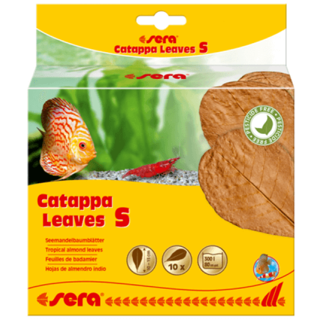 Sera Catappa Leaves,βοηθούν τη ρύθμιση του νερού S14 cm 12pcs