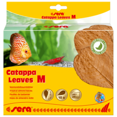 Sera Catappa Leaves,βοηθούν τη ρύθμιση του νερού M18 cm 10pcs Sera Catappa Leaves,βοηθούν τη ρύθμιση του νερού M18 cm 10pcs