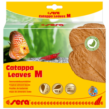 Sera Catappa Leaves,βοηθούν τη ρύθμιση του νερού M18 cm 10pcs Sera Catappa Leaves,βοηθούν τη ρύθμιση του νερού M18 cm 10pcs