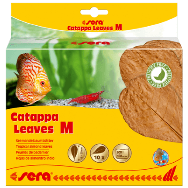 Sera Catappa Leaves,βοηθούν τη ρύθμιση του νερού M18 cm 10pcs