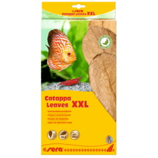 Sera Catappa Leaves,βοηθούν τη ρύθμιση του νερού  XXL32 cm 10pcs