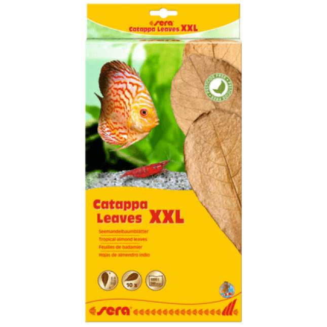 Sera Catappa Leaves,βοηθούν τη ρύθμιση του νερού  XXL32 cm 10pcs