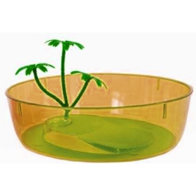 Χελωνιέρα nisida mini πορτοκαλί 25cmx7cm Χελωνιέρα nisida mini πορτοκαλί 25cmx7cm
