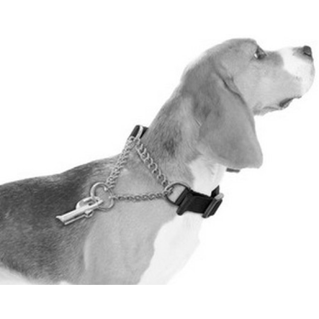 M-pets περιλαίμιο kombi collar - 2in1 2x36 - 46cm Medium M-pets περιλαίμιο kombi collar - 2in1 2x36 - 46cm Medium