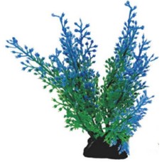 Φυτό πλαστικό πράσινο με γαλάζιες πινελιές 10εκ.