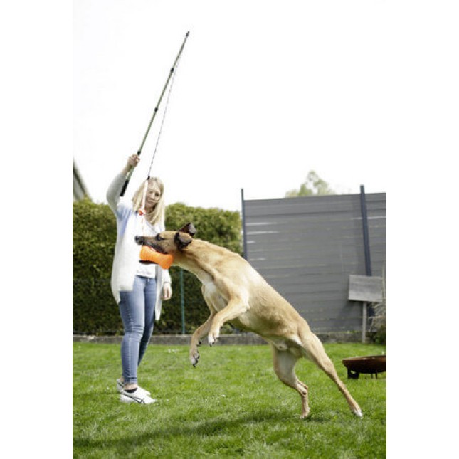 Kerbl παιχνίδι σκύλου ράβδο ψαρέματος προωθεί τη φυσική επιθυμία του σκύλου σας να κινηθεί