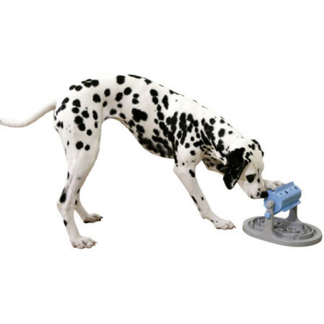Kerbl παιχνίδι σκύλου τροχός μειώνει την πλήξη και προωθεί τη σωματική και ψυχική δραστηριότητα
