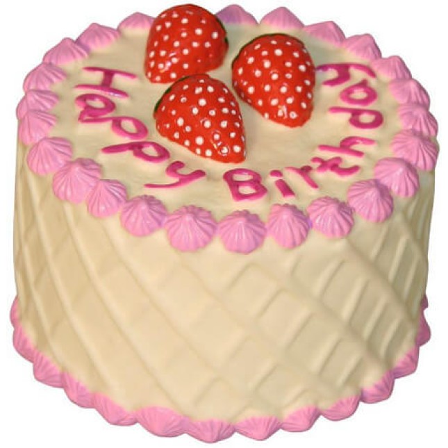 Kerbl birthday cake ιδανικό παιχνίδι για όλους τους σκύλους από μαλακό βινύλιο Kerbl birthday cake ιδανικό παιχνίδι για όλους τους σκύλους από μαλακό βινύλιο