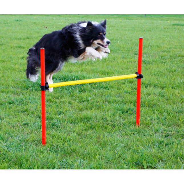Kerbl agility complete set 3 αυτό το υπέροχο σετ ευελιξίας είναι ιδανικό για όλα τα σπορ σκυλιά