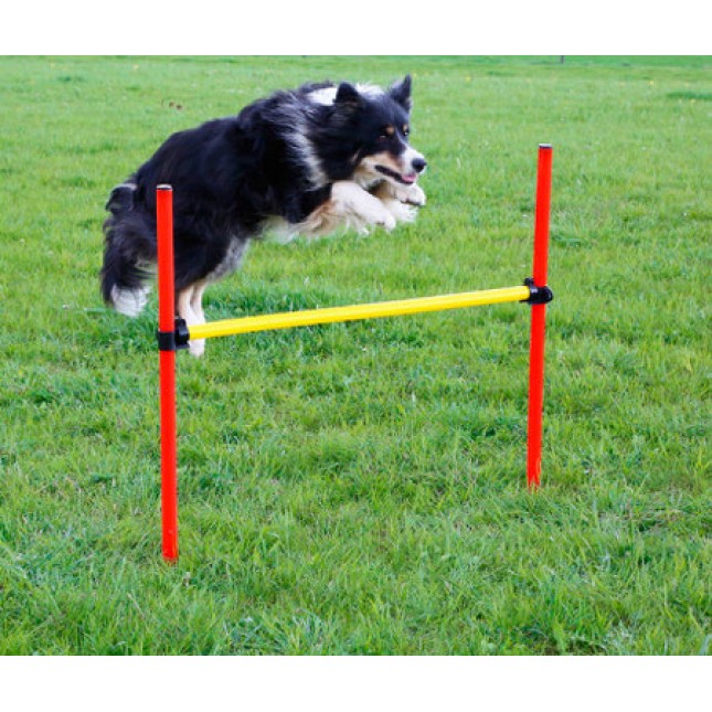Kerbl agility complete set 3 αυτό το υπέροχο σετ ευελιξίας είναι ιδανικό για όλα τα σπορ σκυλιά Kerbl agility complete set 3 αυτό το υπέροχο σετ ευελιξίας είναι ιδανικό για όλα τα σπορ σκυλιά