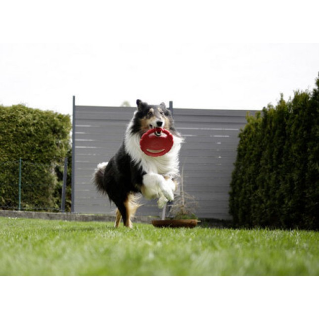 Kerbl toyfastic frisbee χρήσιμο για να βελτιώσετε τα ανακλαστικά του σκύλου σας Kerbl toyfastic frisbee χρήσιμο για να βελτιώσετε τα ανακλαστικά του σκύλου σας