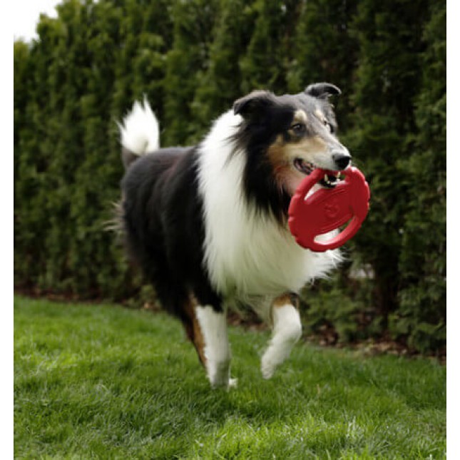 Kerbl toyfastic frisbee χρήσιμο για να βελτιώσετε τα ανακλαστικά του σκύλου σας Kerbl toyfastic frisbee χρήσιμο για να βελτιώσετε τα ανακλαστικά του σκύλου σας