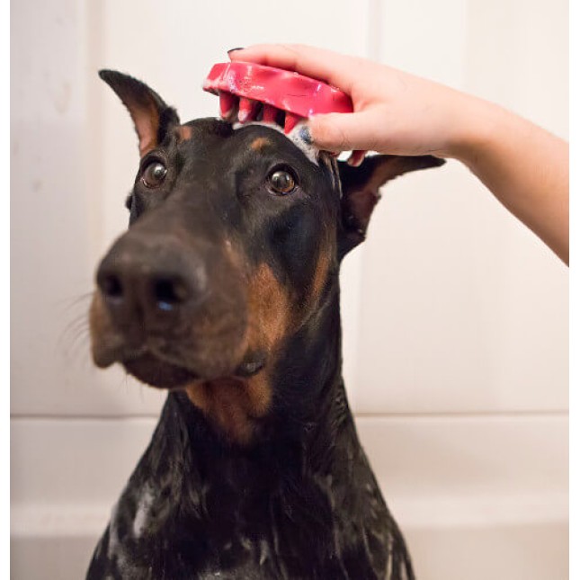 Kong βούρτσα dog zoomgroom ροζ Kong βούρτσα dog zoomgroom ροζ