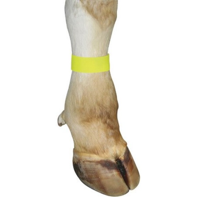 Kerbl λουράκι ποδιού με Velcro, 36cm μήκος, κίτρινο, 10τεμ