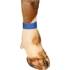 Kerbl λουράκι ποδιού με Velcro, 36cm μήκος, μπλε, 10τεμ Kerbl λουράκι ποδιού με Velcro, 36cm μήκος, μπλε, 10τεμ