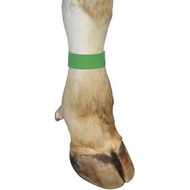 Kerbl λουράκι ποδιού με Velcro, 36cm μήκος, πράσινο, 10τεμ Kerbl λουράκι ποδιού με Velcro, 36cm μήκος, πράσινο, 10τεμ